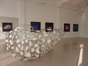 Mur-mur 2014
